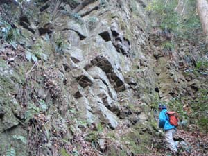 節理の発達した玄武岩質粗粒凝灰岩